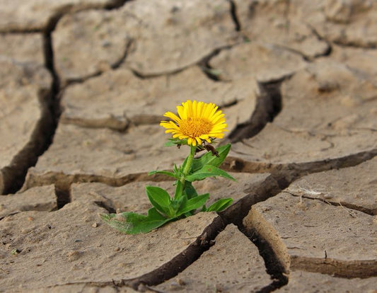 How Climate Change Affects Extreme Weather in the US.